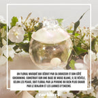 Cacharel - Noa - Eau de Toilette pour femme