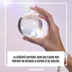Cacharel - Noa - Eau de Toilette pour femme
